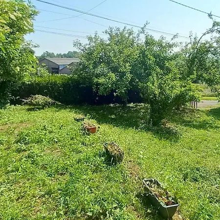 Des Pommiers Sainte-Eulalie