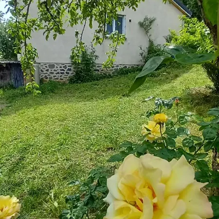 Des Pommiers Sainte-Eulalie