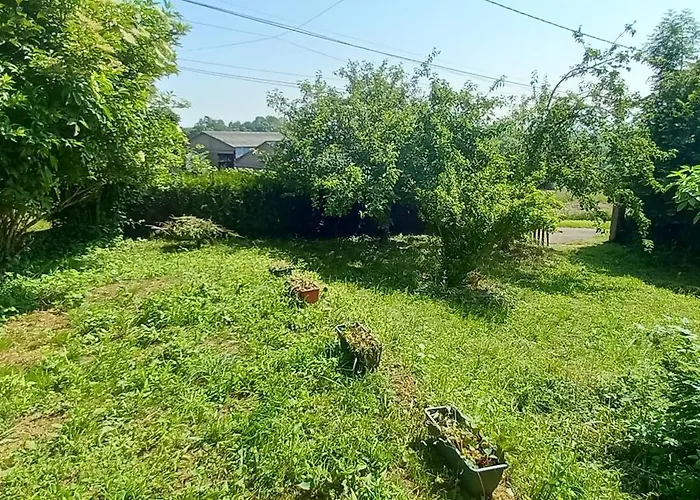 Des Pommiers Sainte-Eulalie