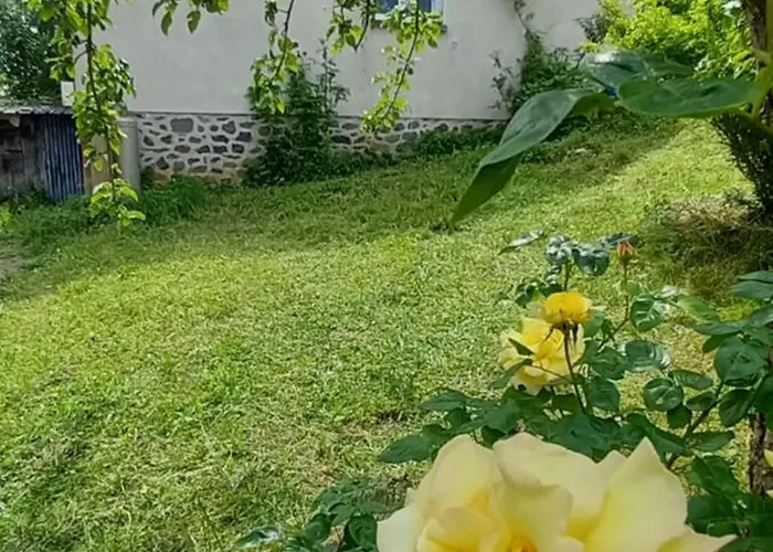 Des Pommiers Sainte-Eulalie